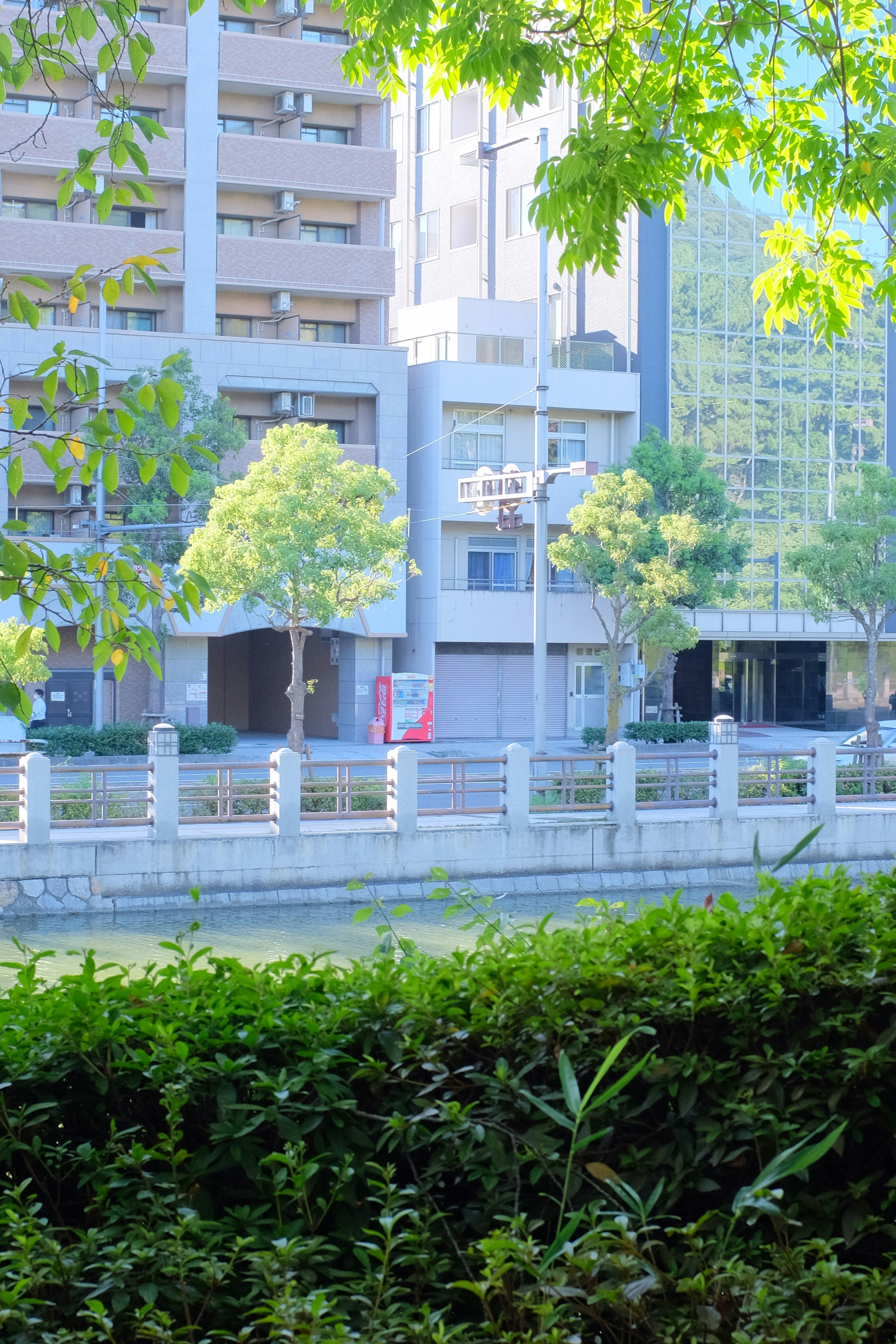 green trees near white concrete building during daytime